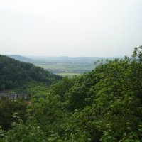 DSC03031